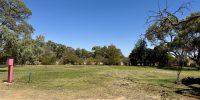 IMG_8560